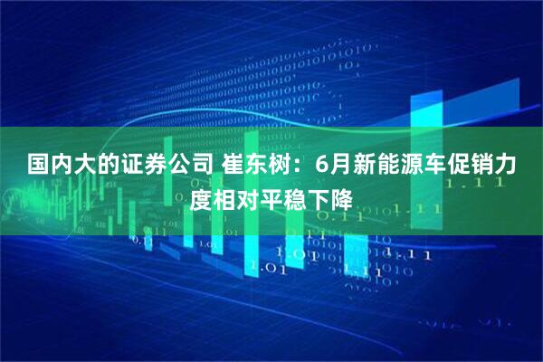 国内大的证券公司 崔东树：6月新能源车促销力度相对平稳下降