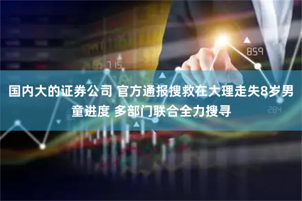国内大的证券公司 官方通报搜救在大理走失8岁男童进度 多部门联合全力搜寻