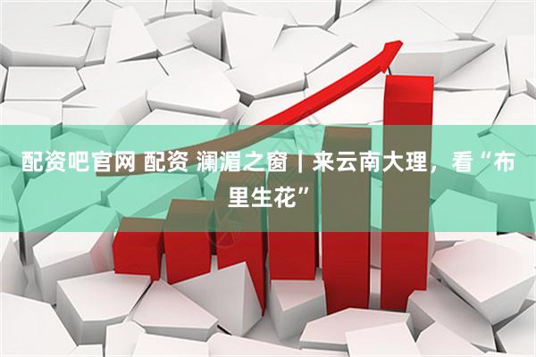 配资吧官网 配资 澜湄之窗｜来云南大理，看“布里生花”