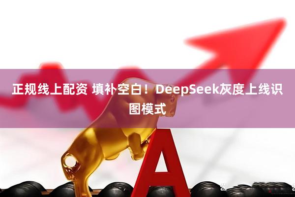 正规线上配资 填补空白！DeepSeek灰度上线识图模式